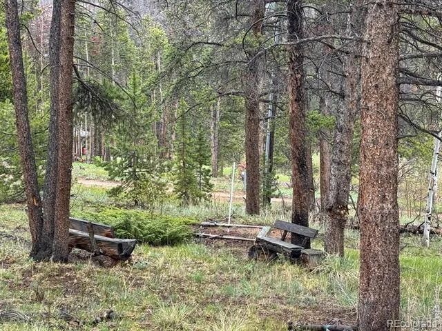 13348 Pingree Park Road Bellvue, CO 80512