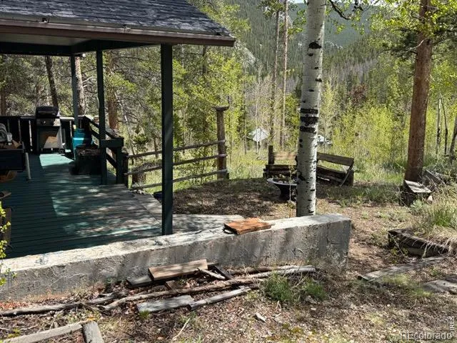 13348 Pingree Park Road Bellvue, CO 80512