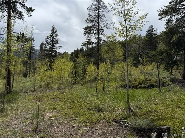 13348 Pingree Park Road Bellvue, CO 80512