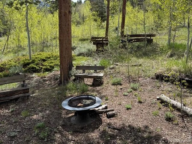 13348 Pingree Park Road Bellvue, CO 80512
