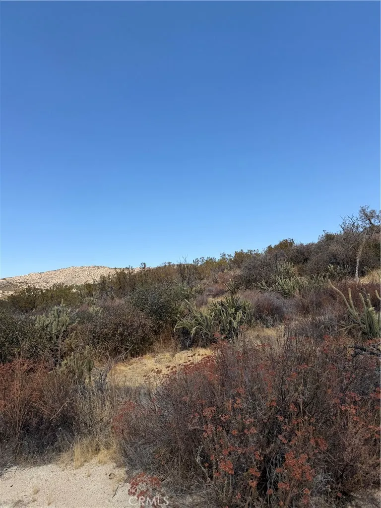 4 Indian Trails Aguanga, CA 92536