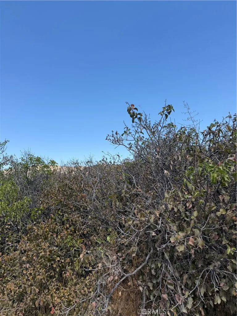 4 Indian Trails Aguanga, CA 92536