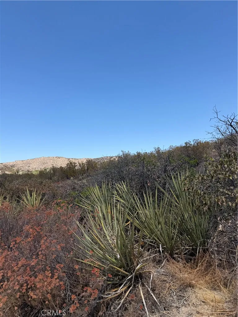 4 Indian Trails Aguanga, CA 92536