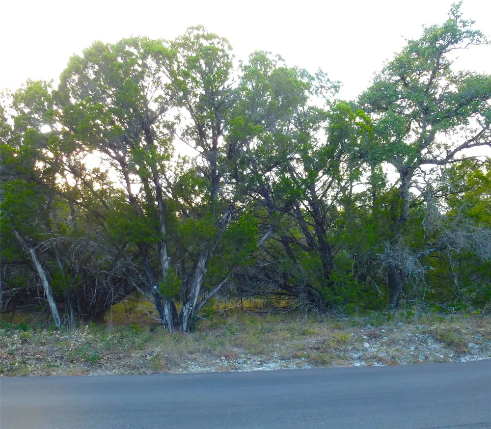 6302 Deer Run Lago Vista, TX 78645