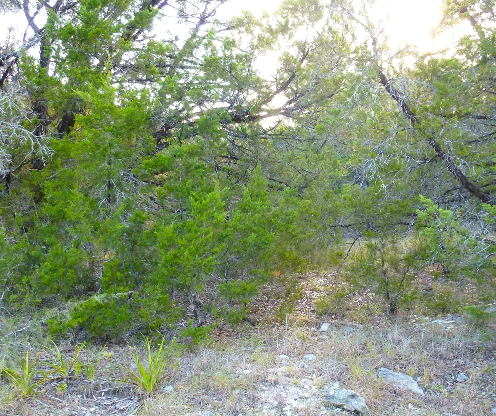 6302 Deer Run Lago Vista, TX 78645