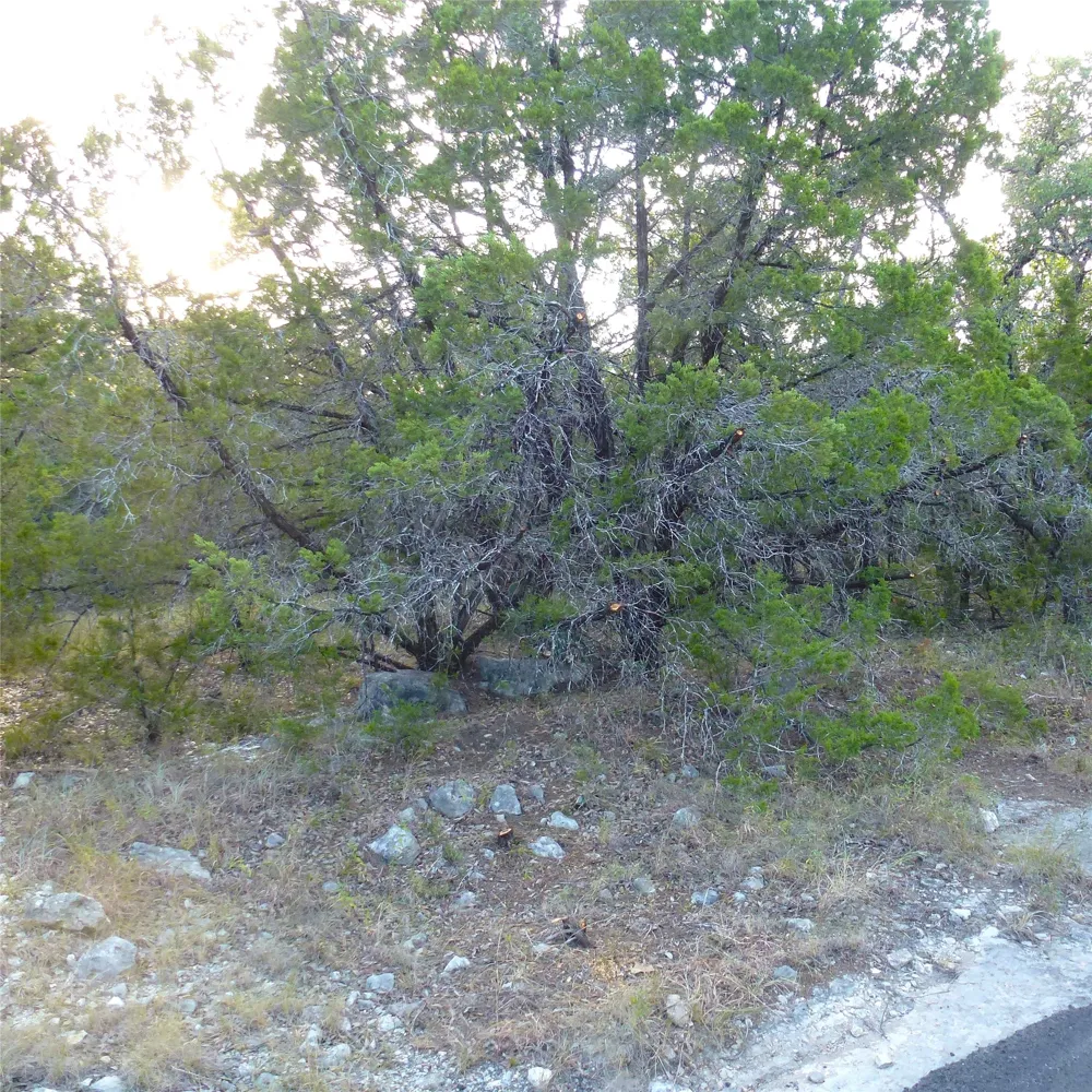 6302 Deer Run Lago Vista, TX 78645
