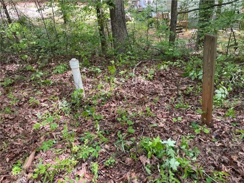 225 White Birch Drive