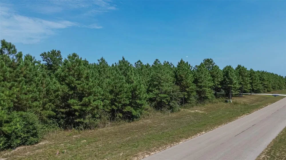 11997 High Branch Way Willis, TX 77378