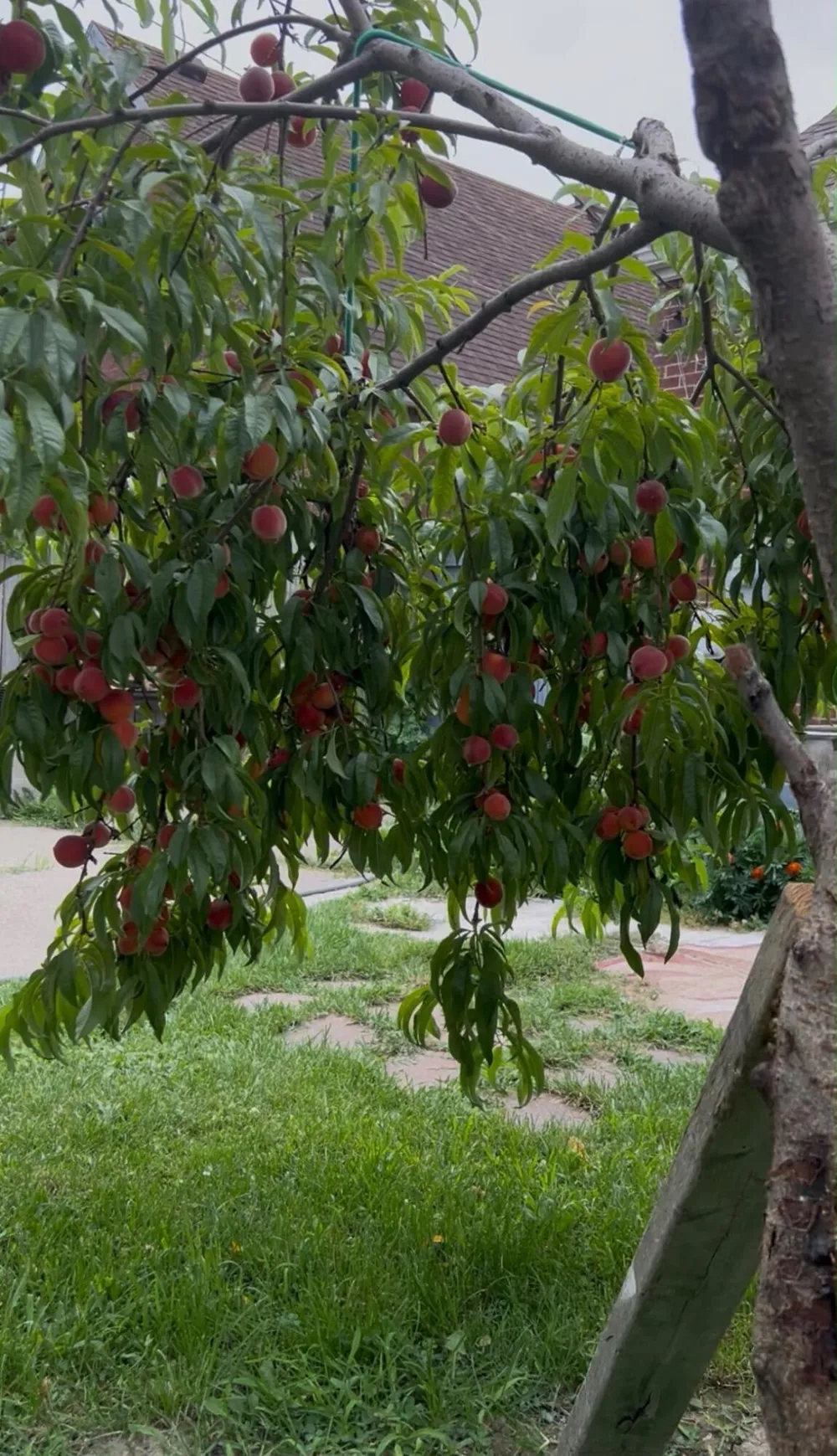 6878 Abington Avenue Detroit, MI 48228