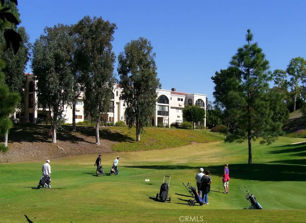 2354 Via Mariposa W #1E Laguna Woods, CA 92637