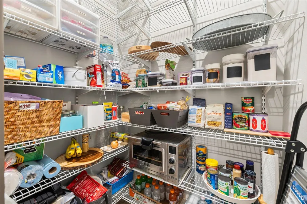 15431 STARLING CROSSING DRIVE Lithia, FL 33547