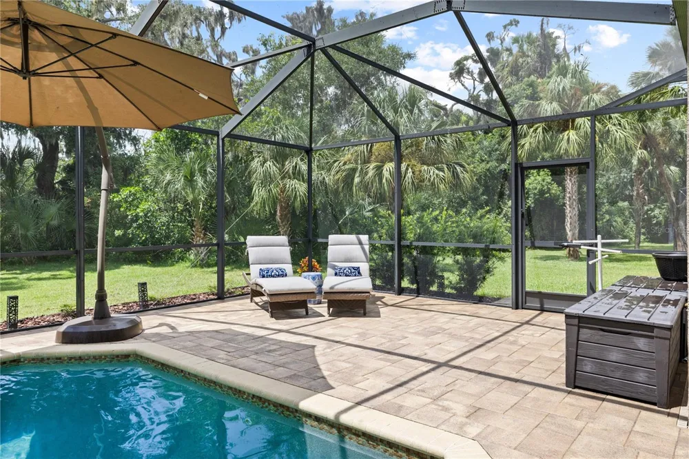 15431 STARLING CROSSING DRIVE Lithia, FL 33547