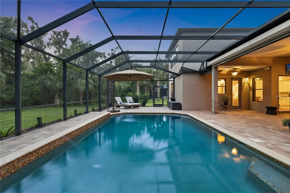 15431 STARLING CROSSING DRIVE Lithia, FL 33547