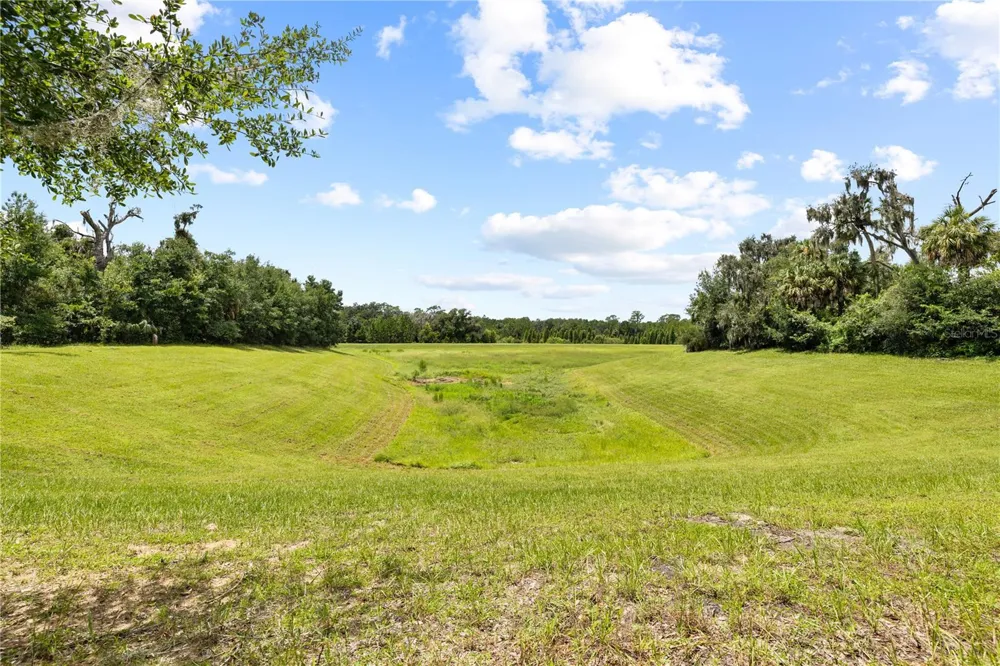 15431 STARLING CROSSING DRIVE Lithia, FL 33547