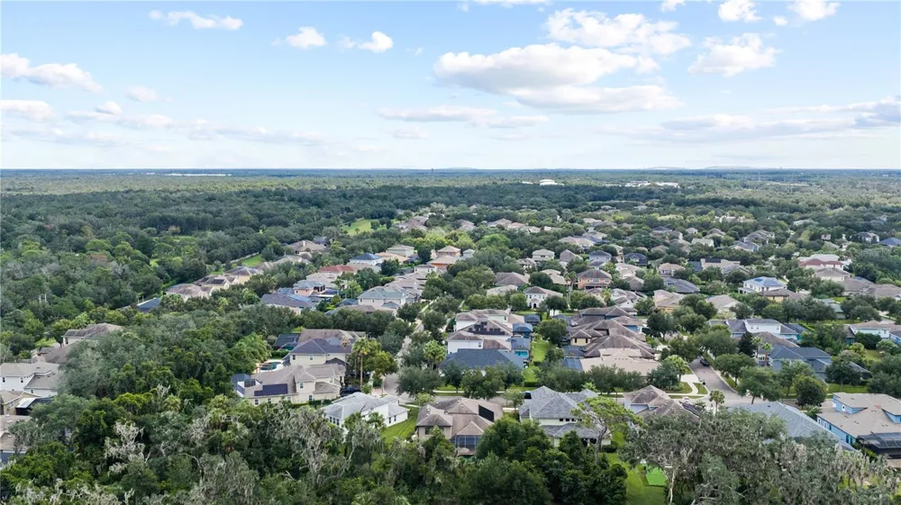 15431 STARLING CROSSING DRIVE Lithia, FL 33547