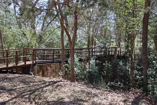 453 Washington Street Round Top, TX 78954