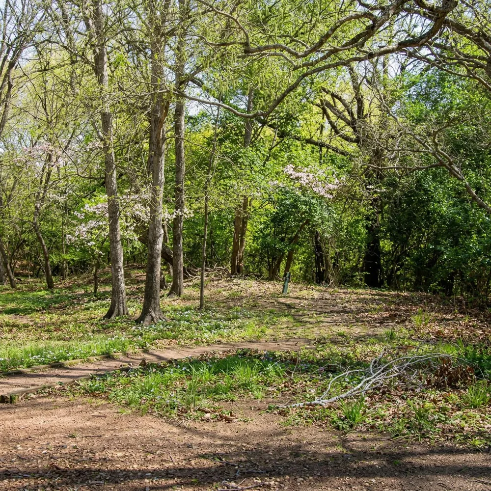 453 Washington Street Round Top, TX 78954