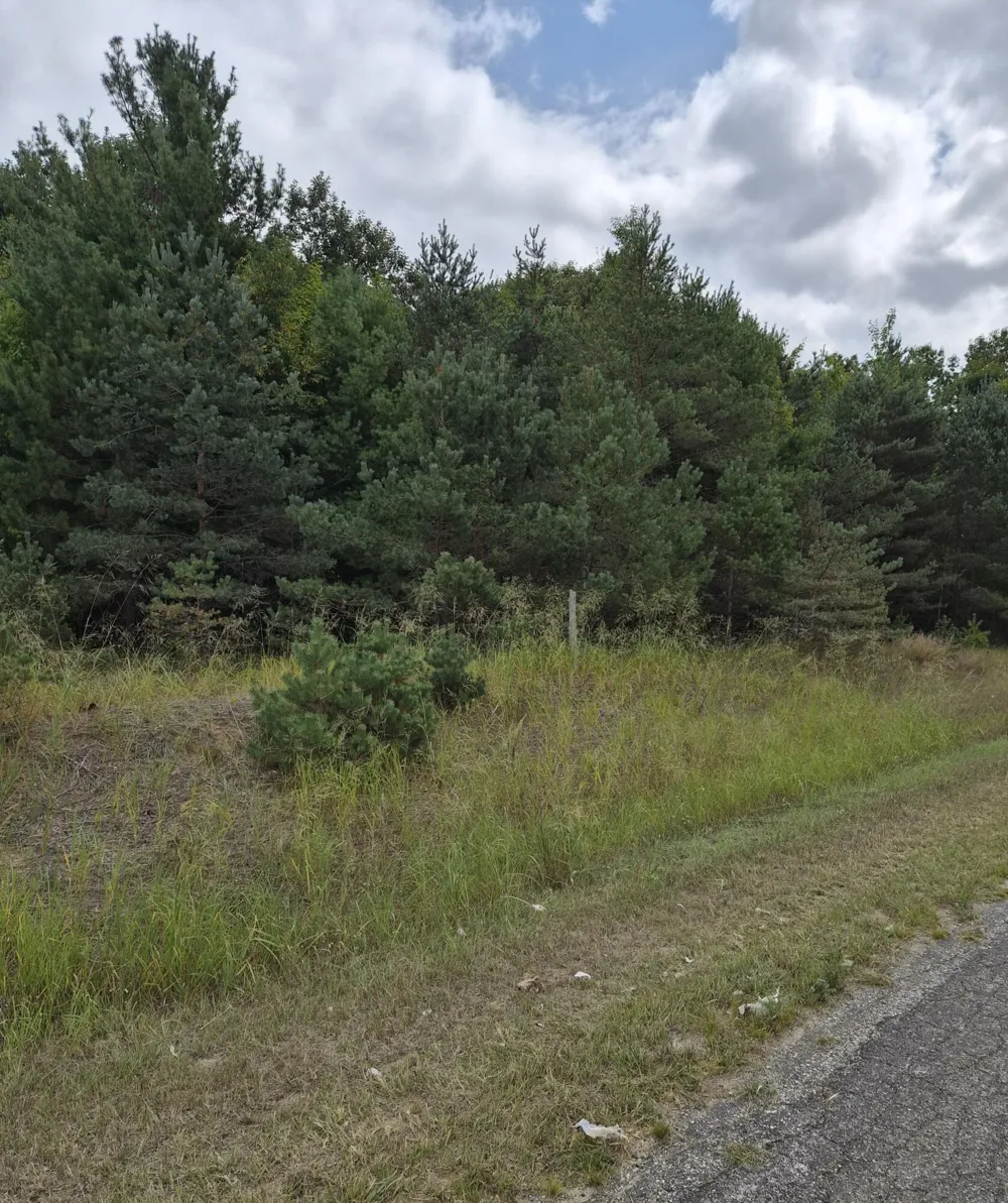 Adamson Lake Road Kaleva, MI 49645