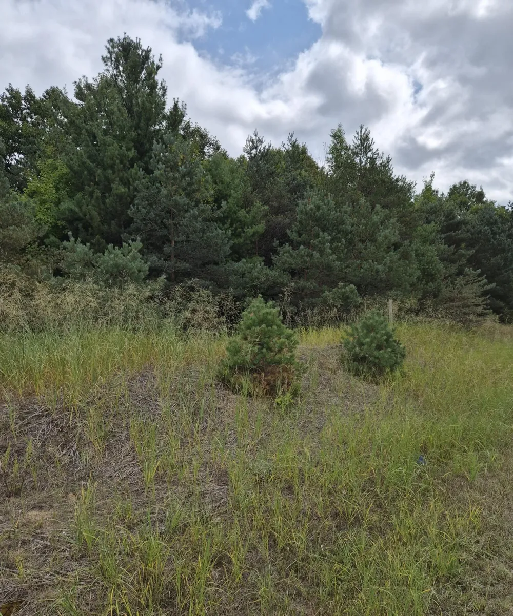 Adamson Lake Road Kaleva, MI 49645