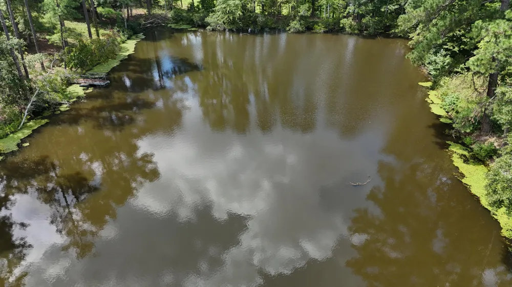 0 Hummingbird Drive Trenton, SC 29847