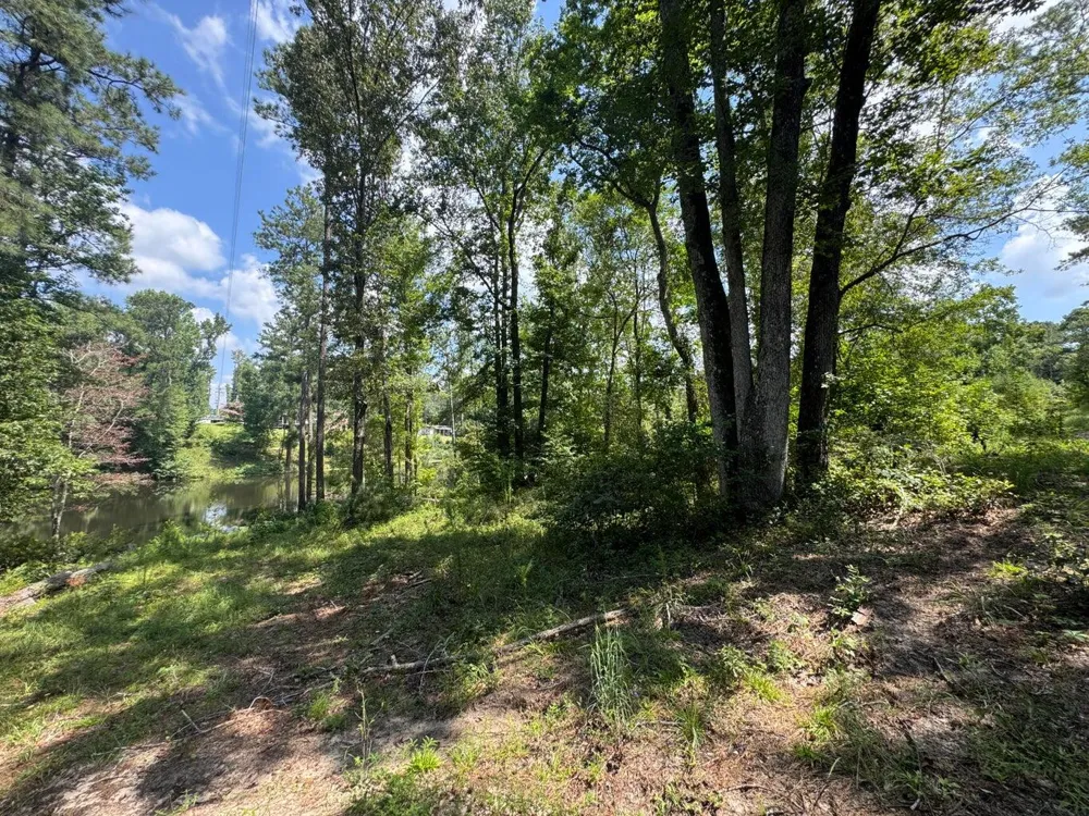 0 Hummingbird Drive Trenton, SC 29847