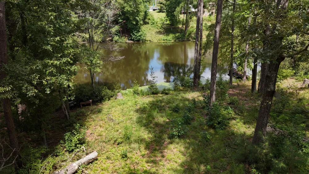 0 Hummingbird Drive Trenton, SC 29847