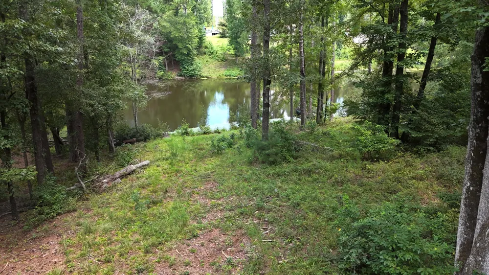 0 Hummingbird Drive Trenton, SC 29847