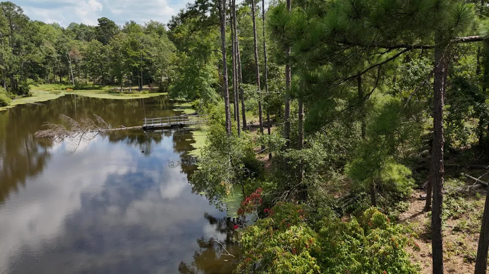 0 Hummingbird Drive Trenton, SC 29847
