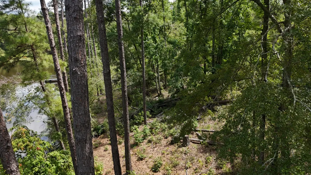0 Hummingbird Drive Trenton, SC 29847