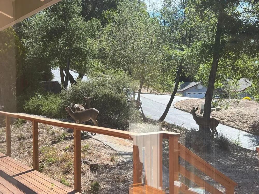 109 Crows Nest Drive Boulder Creek, CA 95006