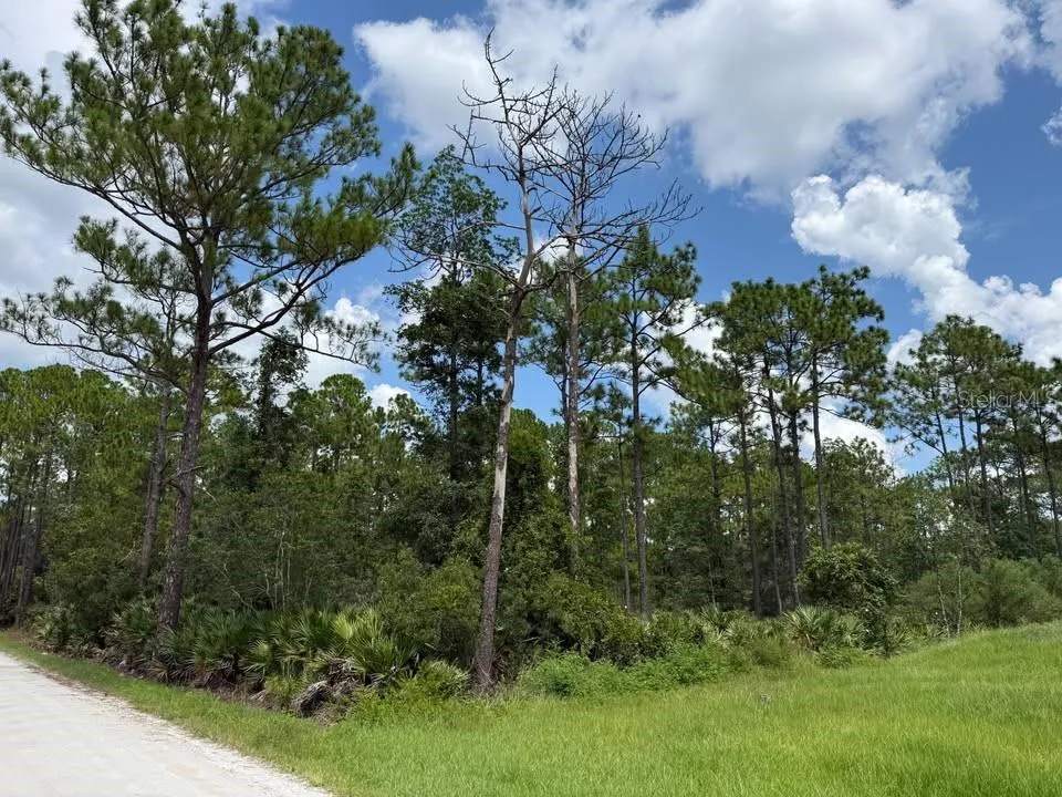 Unassigned EAST PARKWAY Deland, FL 32724
