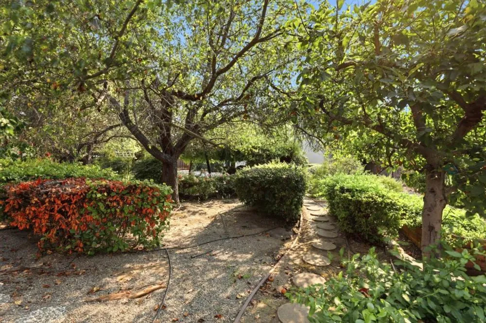 1995 Serene Drive Hollister, CA 95023