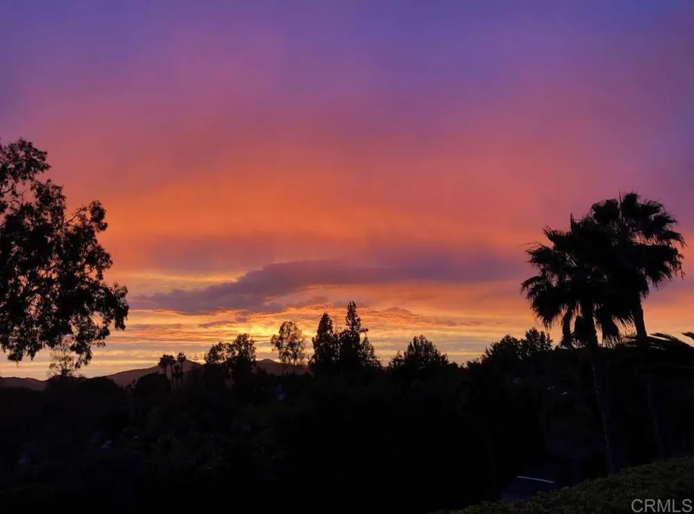 2313 Eucalyptus Avenue Escondido, CA 92029