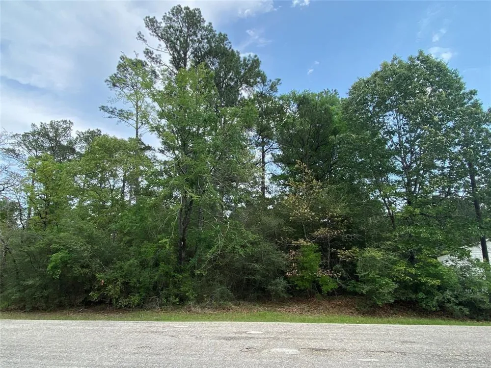 51 Wood Harbor Trinity, TX 75862