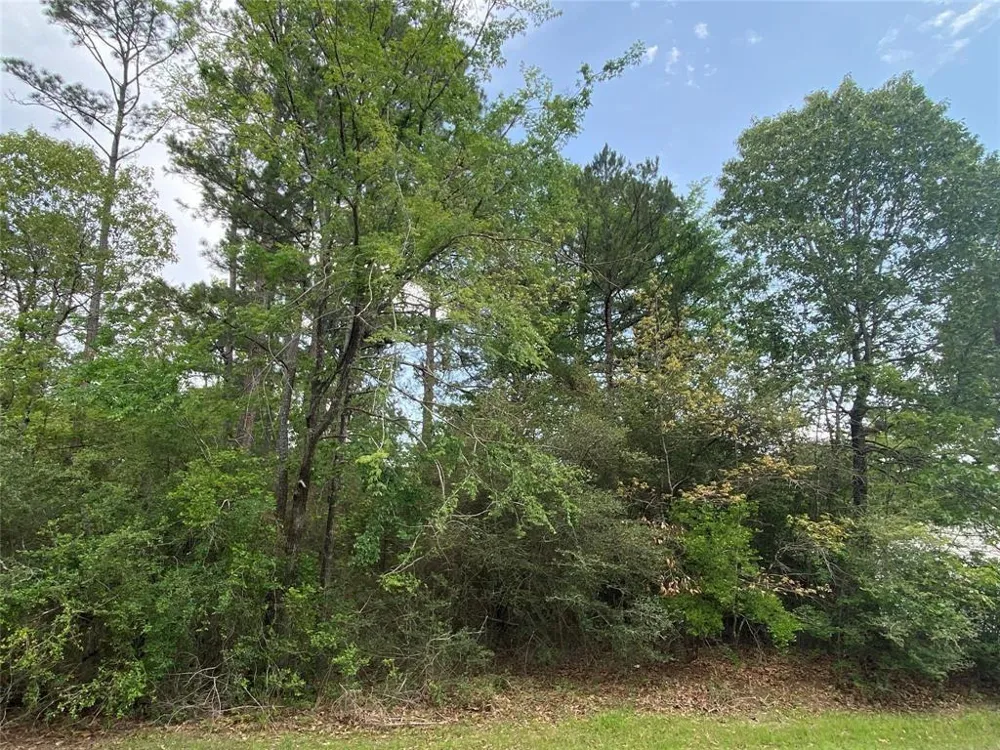 51 Wood Harbor Trinity, TX 75862