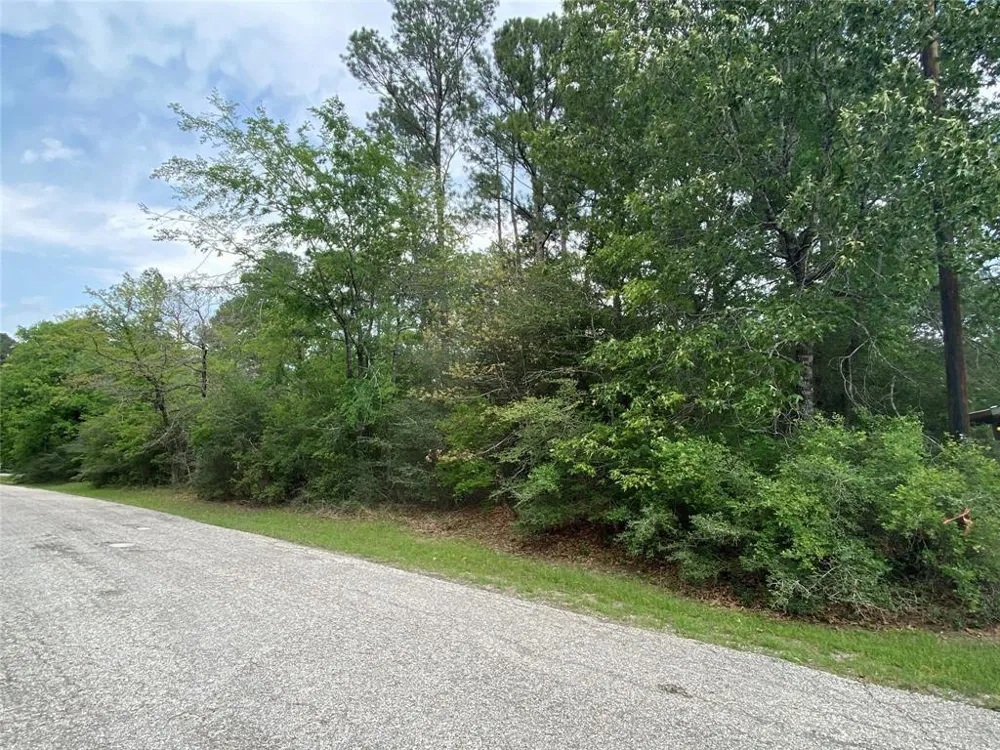 51 Wood Harbor Trinity, TX 75862