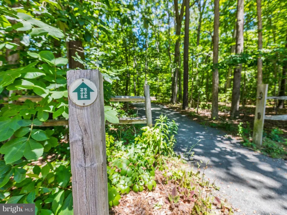 31 NOTTINGHAM LANE Berlin, MD 21811