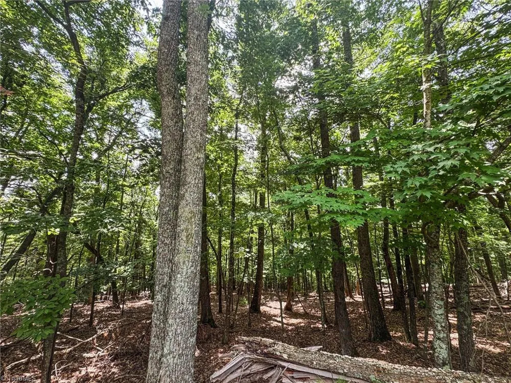 TBD Timber Ridge Road McGrady, NC 28649