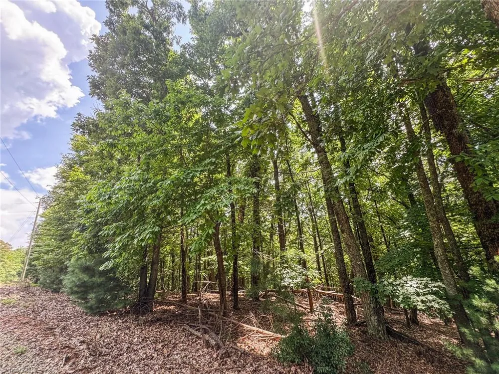TBD Timber Ridge Road McGrady, NC 28649