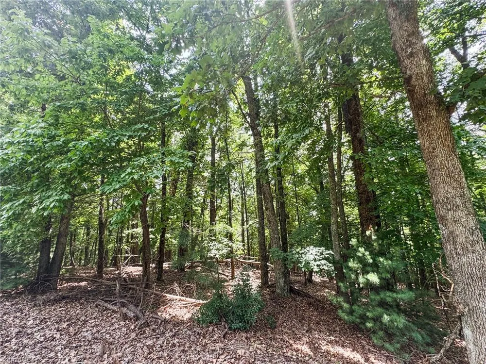 TBD Timber Ridge Road McGrady, NC 28649