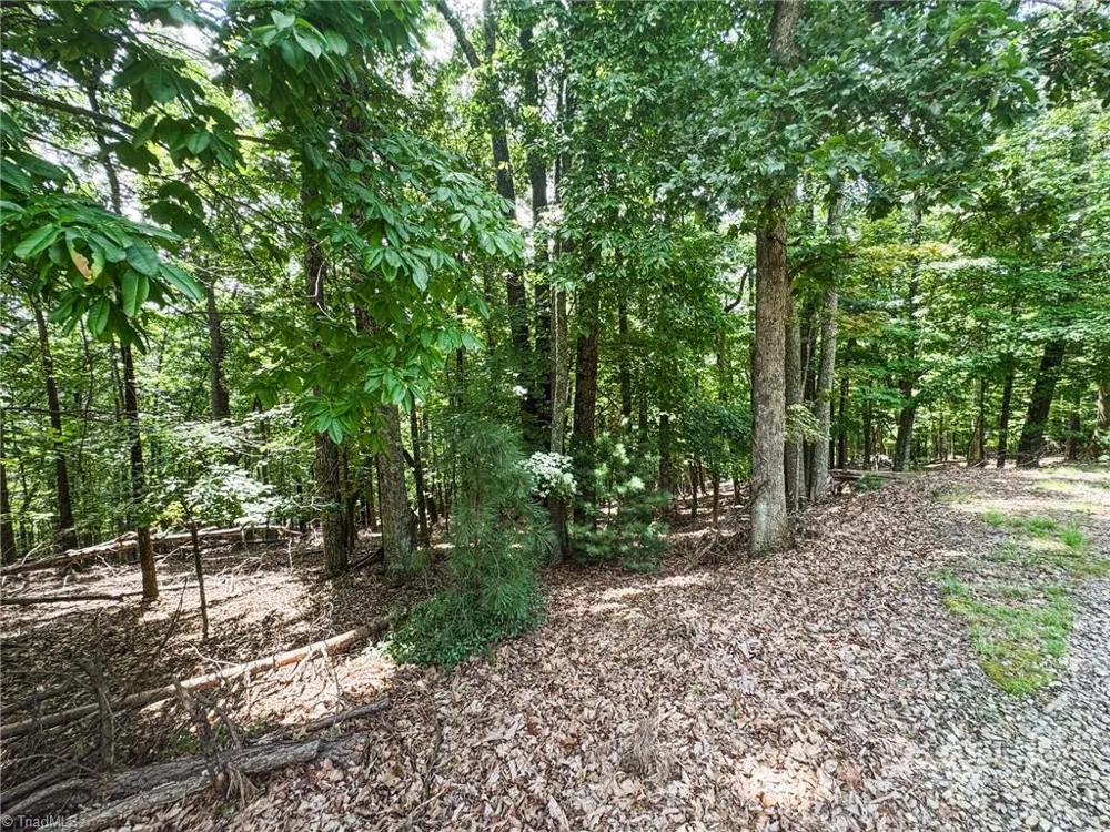 TBD Timber Ridge Road McGrady, NC 28649