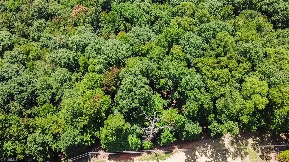 TBD Timber Ridge Road McGrady, NC 28649