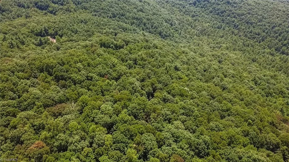 TBD Timber Ridge Road McGrady, NC 28649