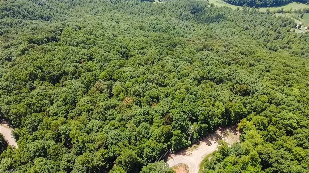 TBD Timber Ridge Road McGrady, NC 28649