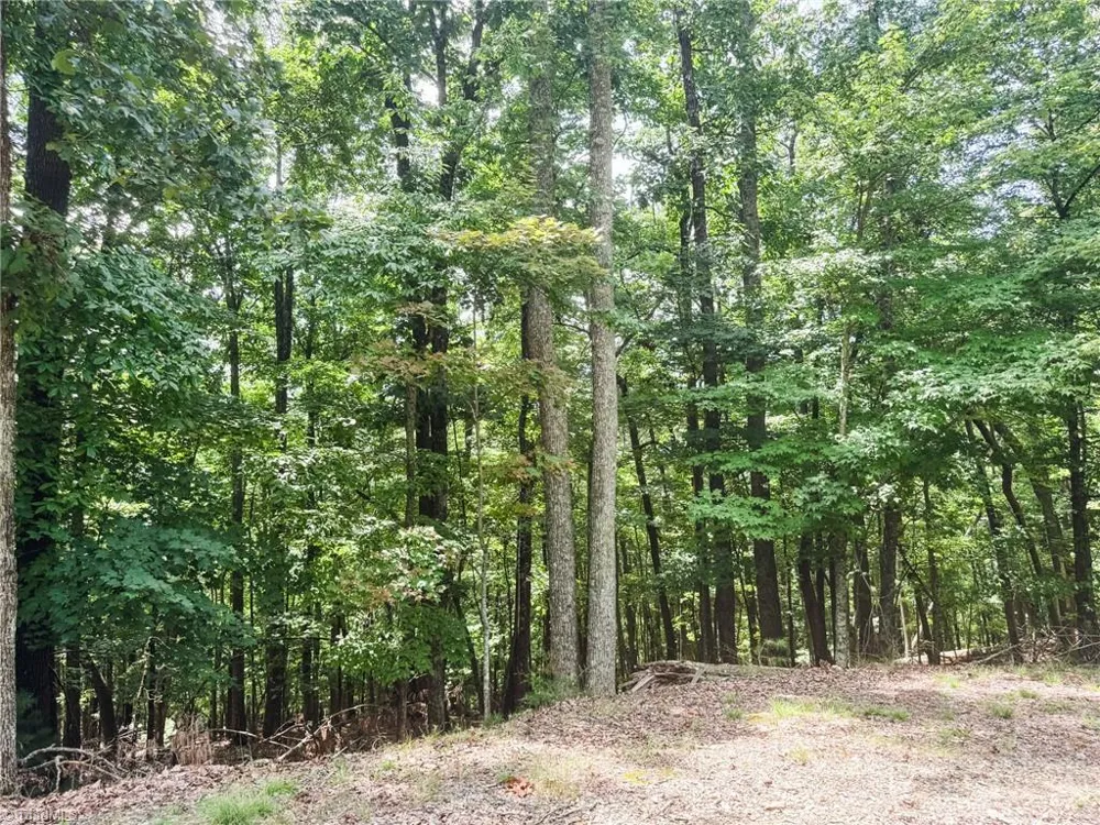 TBD Timber Ridge Road McGrady, NC 28649