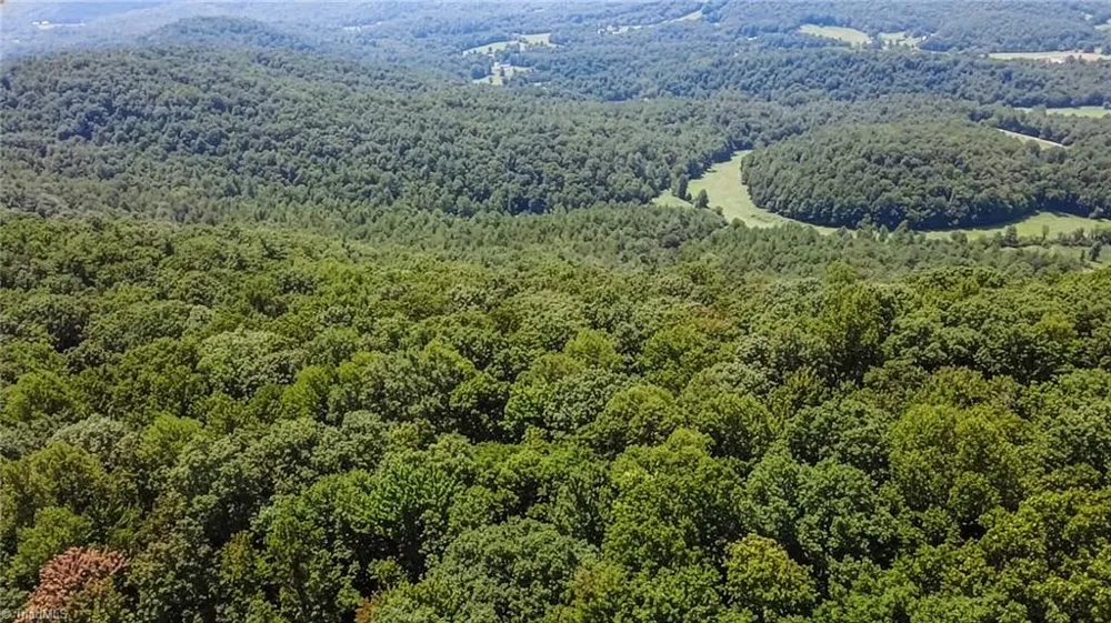 TBD Timber Ridge Road McGrady, NC 28649