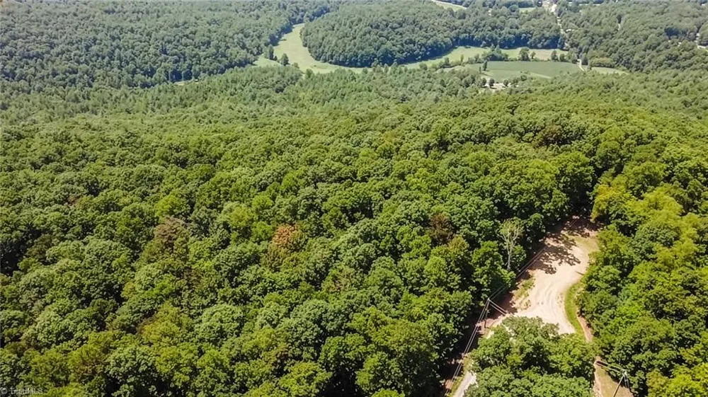 TBD Timber Ridge Road McGrady, NC 28649