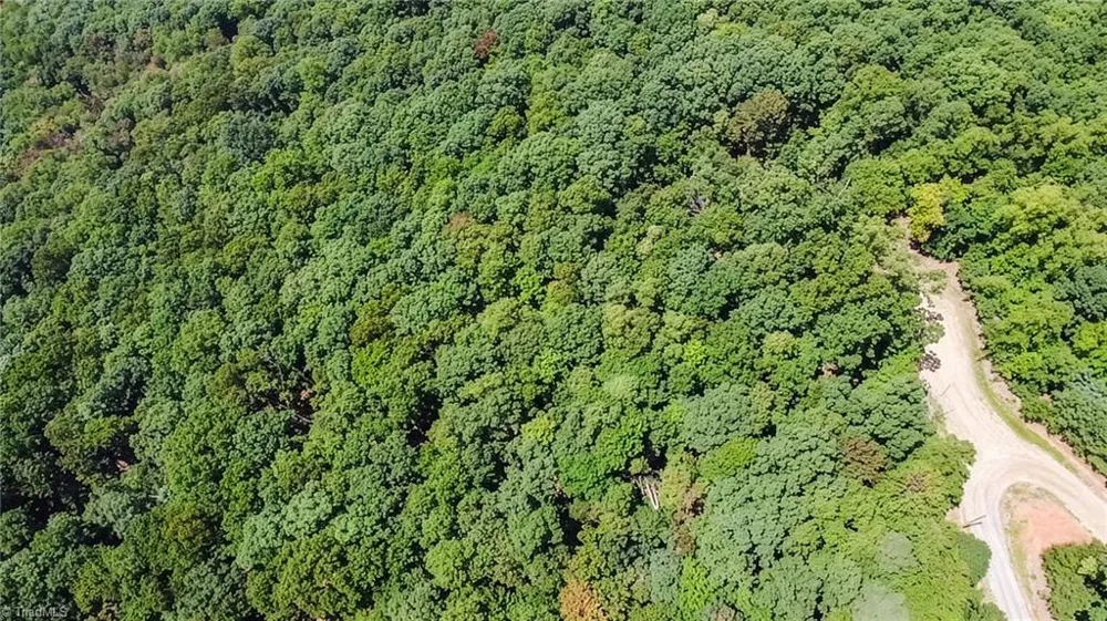 TBD Timber Ridge Road McGrady, NC 28649