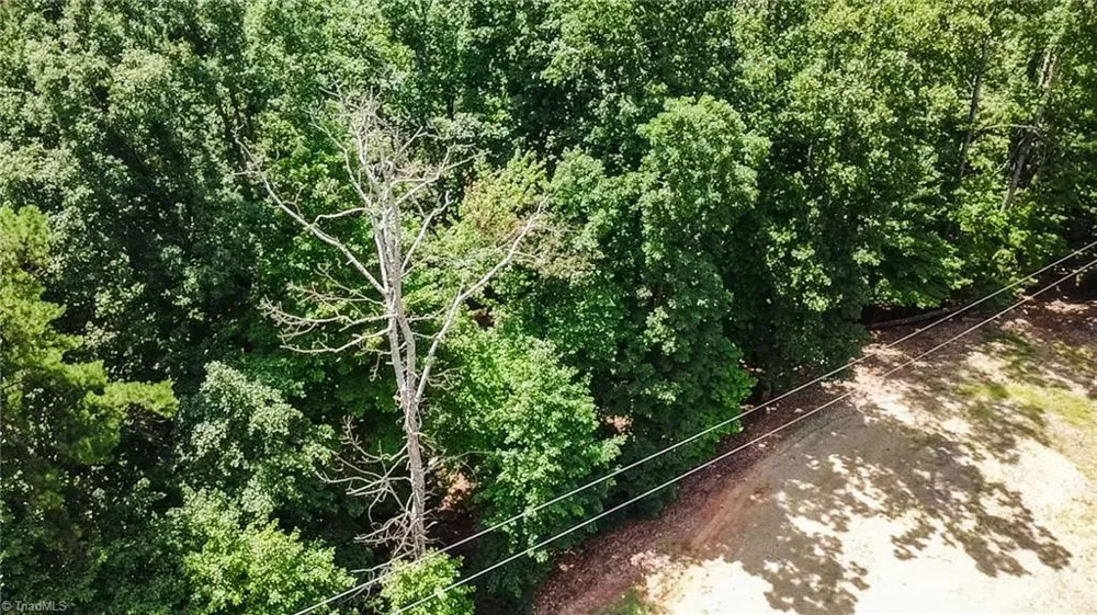 TBD Timber Ridge Road McGrady, NC 28649