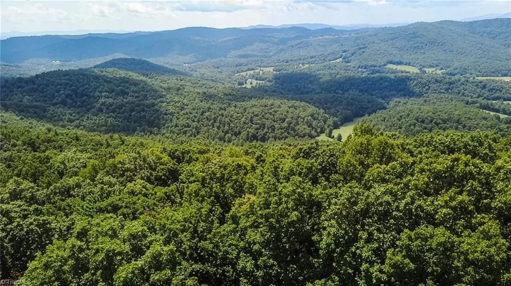 TBD Timber Ridge Road McGrady, NC 28649